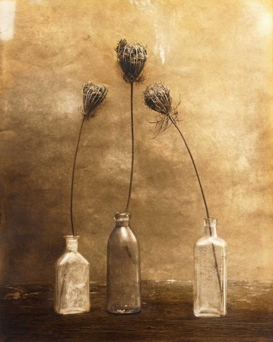 Three Views Black Ornate Wood Framed Art Print with Double Matting by Gauthier, Jan