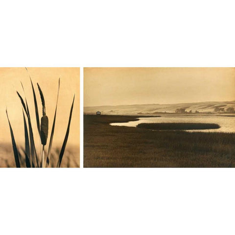 Tomales Bay #2 White Modern Wood Framed Art Print by Gauthier, Jan