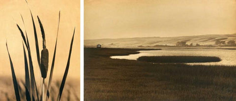 Tomales Bay #2 White Modern Wood Framed Art Print with Double Matting by Gauthier, Jan