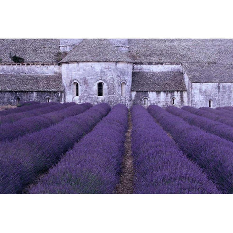 Lavender Abbey Gold Ornate Wood Framed Art Print with Double Matting by Gawlowski, Greg