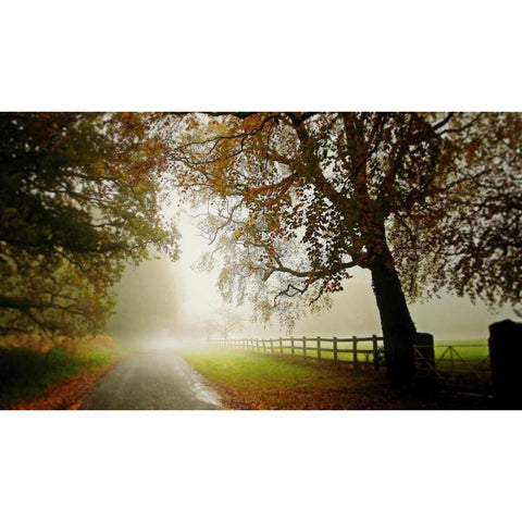 The Fog Black Modern Wood Framed Art Print by Goncalves, Adelino