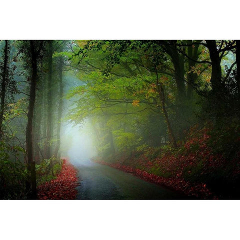 The Lane Black Modern Wood Framed Art Print by Goncalves, Adelino