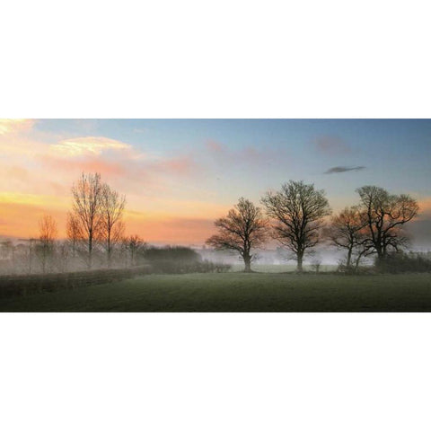 The Mist White Modern Wood Framed Art Print by Goncalves, Adelino