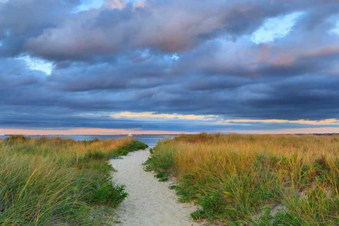 Jetties Beach Path White Modern Wood Framed Art Print with Double Matting by Gendreau, Katherine