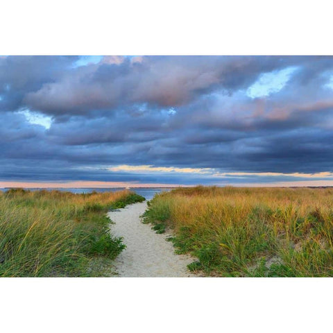 Jetties Beach Path Black Modern Wood Framed Art Print with Double Matting by Gendreau, Katherine