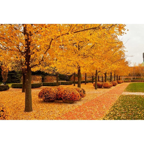 Fall Walkway Black Modern Wood Framed Art Print with Double Matting by Ganju, Abhi