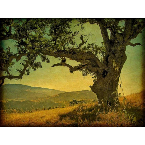 Blue Oak Hilltop White Modern Wood Framed Art Print by Guion, William
