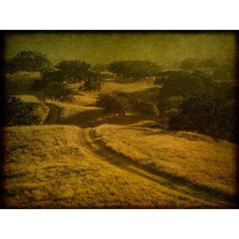 Ranch Road and Oak Savannah Gold Ornate Wood Framed Art Print with Double Matting by Guion, William