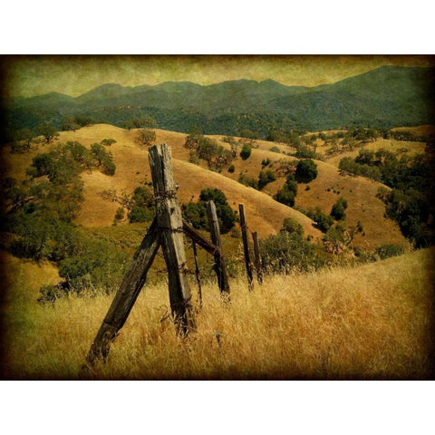 Weathered Ranch Fence Black Modern Wood Framed Art Print by Guion, William