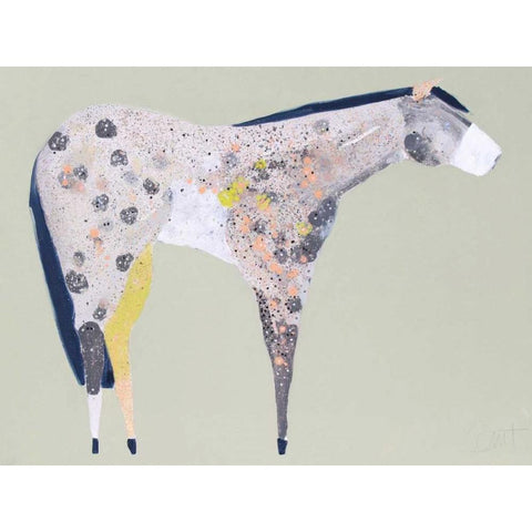 Horse No. 60 Black Modern Wood Framed Art Print by Grant, Anthony