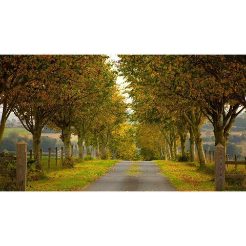 Colors of Autumn Gold Ornate Wood Framed Art Print with Double Matting by Goncalves, Adelino