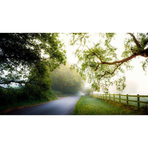 Octobers Fog White Modern Wood Framed Art Print by Goncalves, Adelino