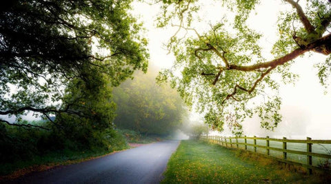 Octobers Fog White Modern Wood Framed Art Print with Double Matting by Goncalves, Adelino