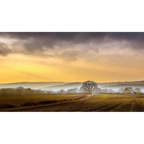 The Farm Black Modern Wood Framed Art Print by Goncalves, Adelino