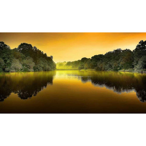 The Lake White Modern Wood Framed Art Print by Goncalves, Adelino