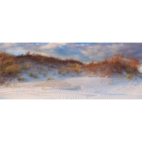 Dunes Light Black Modern Wood Framed Art Print with Double Matting by Gendreau, Katherine