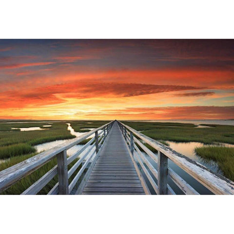 Greys Beach Sunset White Modern Wood Framed Art Print by Gendreau, Katherine