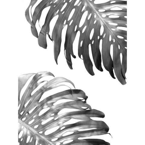 Double Philodendron - BW Gold Ornate Wood Framed Art Print with Double Matting by Greer, Lexie