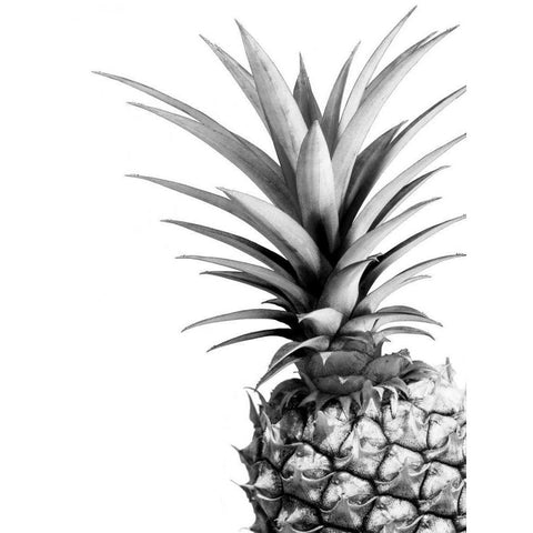 Pineapple - BW White Modern Wood Framed Art Print by Greer, Lexie