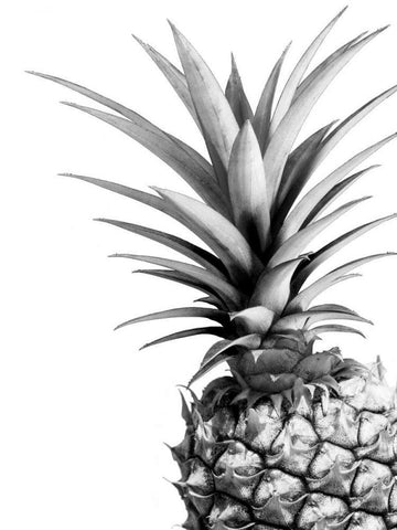 Pineapple - BW Black Ornate Wood Framed Art Print with Double Matting by Greer, Lexie