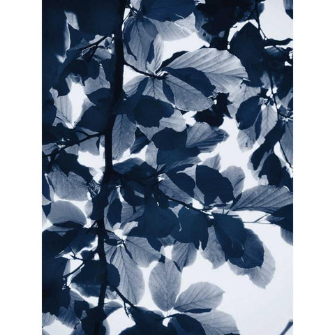 Indigo Leaves White Modern Wood Framed Art Print by Greer, Lexie
