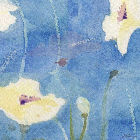 White Poppy Black Ornate Wood Framed Art Print with Double Matting by Golden, Sheila