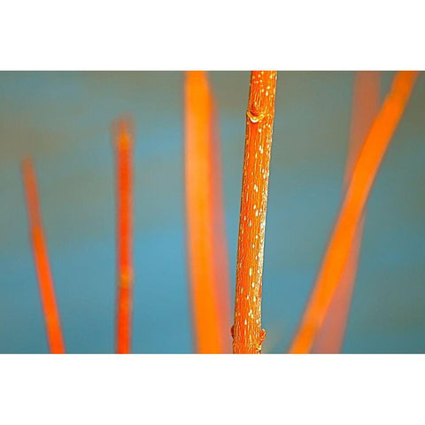 Along the River No. 5 Black Modern Wood Framed Art Print with Double Matting by Gonzalez, Ulpi