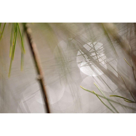 Abstract by the River Black Modern Wood Framed Art Print with Double Matting by Gonzalez, Ulpi