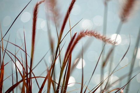 By the Chicago River No. 3 White Modern Wood Framed Art Print with Double Matting by Gonzalez, Ulpi