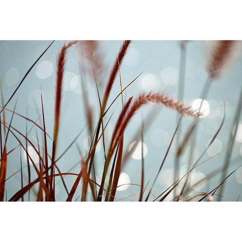 By the Chicago River No. 3 Black Modern Wood Framed Art Print by Gonzalez, Ulpi