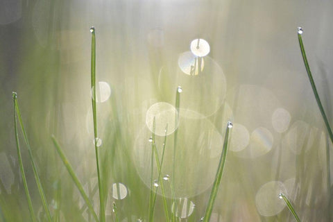 Morning Light No. 3 White Modern Wood Framed Art Print with Double Matting by Gonzalez, Ulpi