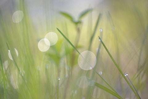 Morning Light No. 1 White Modern Wood Framed Art Print with Double Matting by Gonzalez, Ulpi