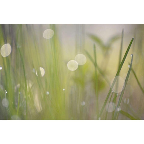 Morning Light No. 2 Black Modern Wood Framed Art Print with Double Matting by Gonzalez, Ulpi