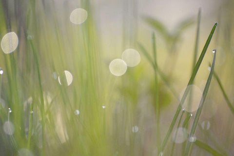 Morning Light No. 2 White Modern Wood Framed Art Print with Double Matting by Gonzalez, Ulpi