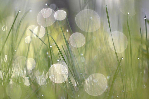 Morning Light No. 4 White Modern Wood Framed Art Print with Double Matting by Gonzalez, Ulpi