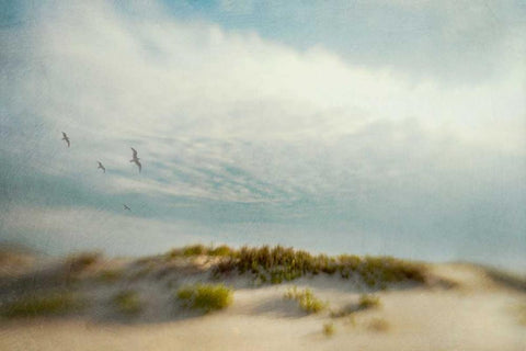 Dunes 1 Black Ornate Wood Framed Art Print with Double Matting by Hanna, Dawn D.