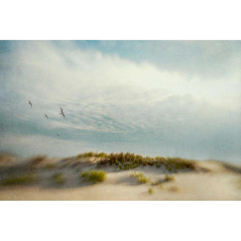 Dunes 1 Gold Ornate Wood Framed Art Print with Double Matting by Hanna, Dawn D.