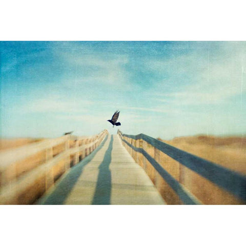 Fly Black Modern Wood Framed Art Print with Double Matting by Hanna, Dawn D.