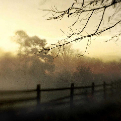 At Dawn Black Ornate Wood Framed Art Print with Double Matting by Hanna, Dawn D.