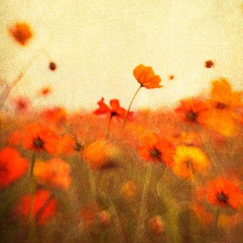 Orange Happiness White Modern Wood Framed Art Print with Double Matting by Hanna, Dawn D.