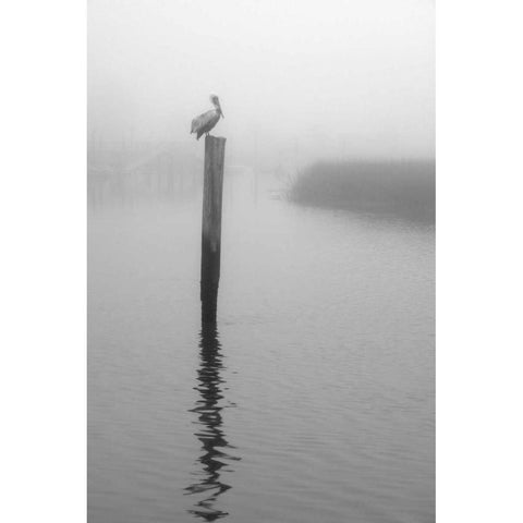 On Pelican Marsh Black Modern Wood Framed Art Print by Hiers, Winthrope