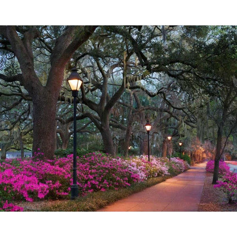 Forsythe Park Gold Ornate Wood Framed Art Print with Double Matting by Hiers, Winthrope