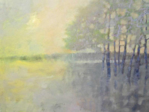 Spring Flood White Modern Wood Framed Art Print with Double Matting by Hassler, Pam