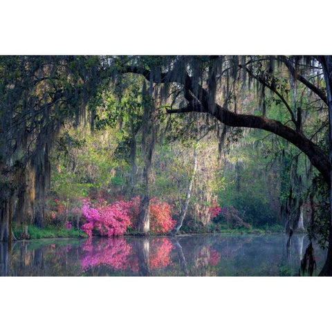 Morning Serenity White Modern Wood Framed Art Print by Herrera, H.J.