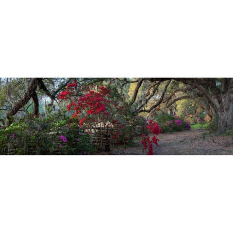 Springtime Morning White Modern Wood Framed Art Print by Herrera, H.J.