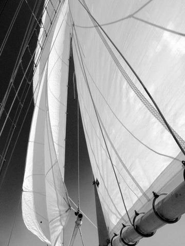 Sailboat Sails Florida White Modern Wood Framed Art Print with Double Matting by Hiers, Winthrope