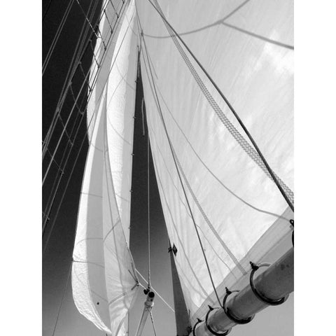 Sailboat Sails Florida Black Modern Wood Framed Art Print by Hiers, Winthrope