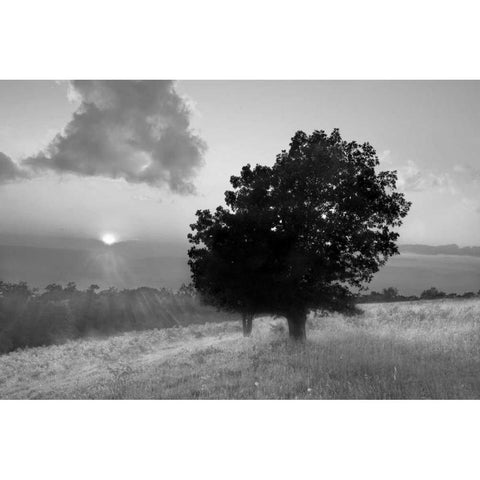 Spitler Knoll Overlook Black Modern Wood Framed Art Print by Hiers, Winthrope
