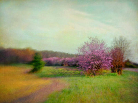 Nature Is Divine White Modern Wood Framed Art Print with Double Matting by Hanna, Dawn D.