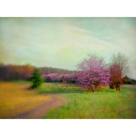 Nature Is Divine White Modern Wood Framed Art Print by Hanna, Dawn D.